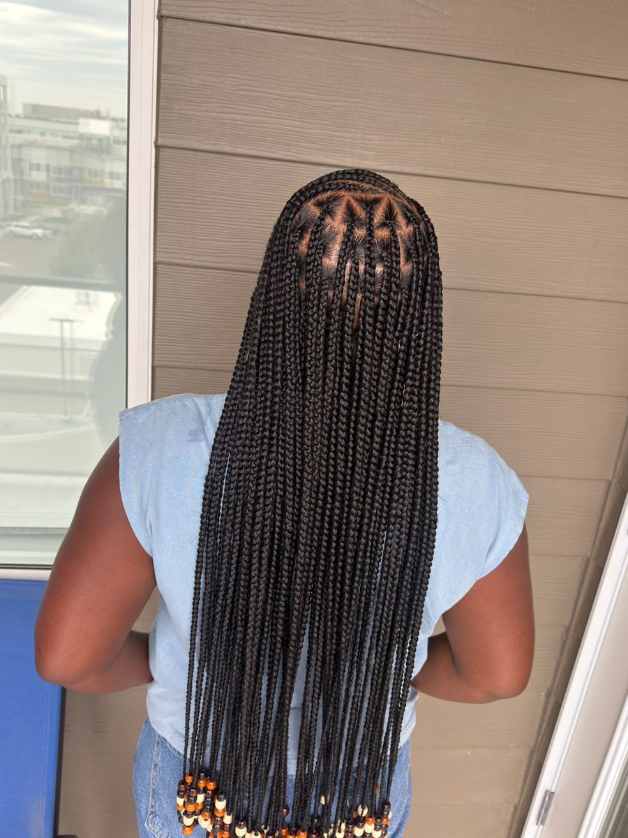 Braided hairstyle by Stylezz by Kam