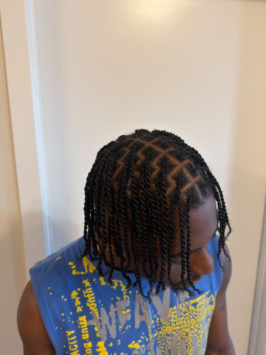 Single braids / twists by Stylezz by Kam